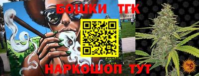 МДПВ Гатчина