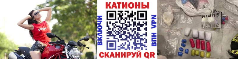 МЯУ-МЯУ мяу мяу  Майкоп 