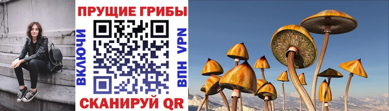 Галлюциногенные грибы мухоморы  Майкоп 
