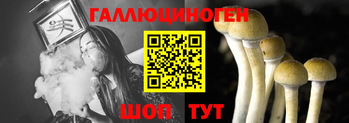 Псилоцибиновые грибы Psilocybine cubensis  Галлюциногенные грибы Cubensis  Вход с VPN  Майкоп 